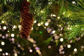 constipation chronique - noel - sante intime